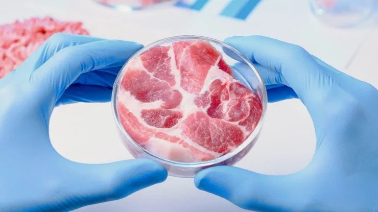 Is Lab-Grown Meat Halal Or Kosher?